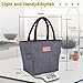 BALORAY Lunch Bag for Women Lunch Tote Bag Insulated Lunch Bags Lunch Tote Bag Snacks Organizer for Women Men Adults Work Picnic Hiking Beach Fishing (G-199L Grey)