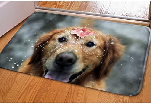 Soft Hallway Entrance Welcome Mat Smile Golden Retriever Print Doormat For Bedroom Kitchen Dorm Funny Indoor Small Non Slip Rug Cabin Doorway Front Door Mat Bibulous Quick-dry Bathroom Floor Carpet