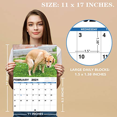 Uh Fall 2022 Calendar 2021-2022 Calendar - 2021-2022 Wall Calendar, Gag Gifts With Thick Paper,  11" X 17" (Open), Jan. 2021 - Jun. 2022 - Meadow Dogs, Best For White  Elephant Gag Gifts | Pricepulse