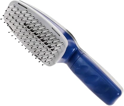 cold blooded reptiles