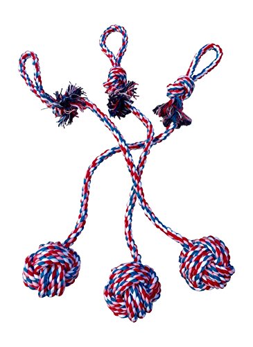 3 Rope Dog Toys for small to medium dogs - Interactive tug of war & fetch with knot ball for chewers and puppies - Colors will vary 3 Rope Dog Toys for small to medium dogs - Interactive tug of war & fetch with knot ball for chewers and puppies - Colors will vary