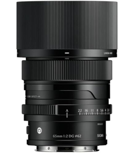 Amazon.com : Sigma 65mm F2.0 DG DN for L-Mount : Electronics