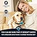 PawPets Anti Bark Collar – No Bark Collar – Bark Collar for Small Medium Large Dogs 5-15lbsthumb 1