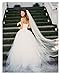 Belle House Tulle Sheer Wedding Bridal Veils Cathedral for Bride 11059-2
