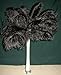 SPECIAL LOT Wholesale Bulk Ostrich- BLACK 100 Deluxe Ostrich Plumes-10-14