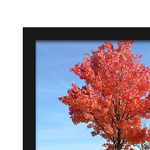 Medog 12x16 Inch Picture Frame Poster Frame for Pictures 12x16 Without