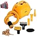3.2HP 2 Speed Adjustable Heat Temperature Pet Grooming Force Hair Dryer With 4 Different Nozzles