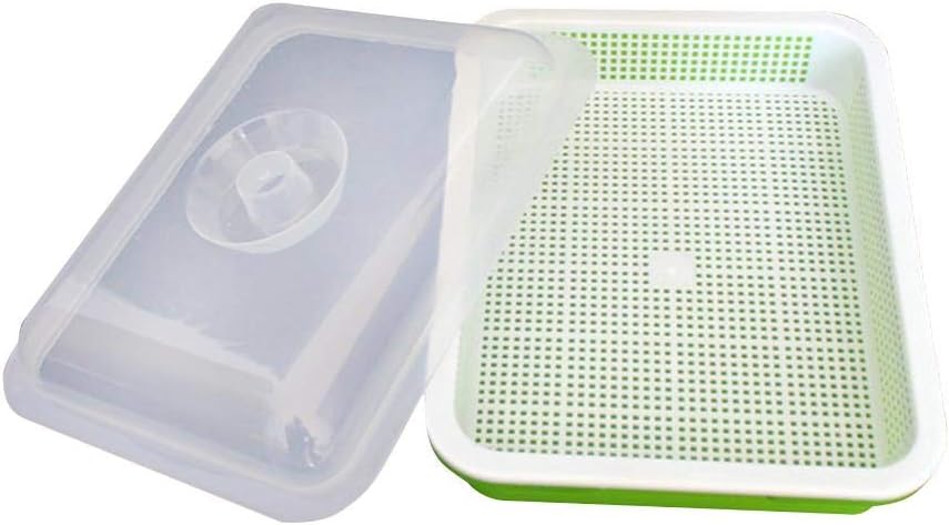 Dadahuam Plant Growing Trays, Thickening Seedling Grow Box With Cover, Seed Sprouter Tray For Seedlings Indoor Gardening Growing Microgreens Wheatgrass