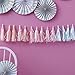 Ginger Ray Pastel Iridescent Holographic Foil Tassel Garland Decoration - Iridescent Party