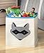 Whitmor Kids Raccoon Canvas Collapsible Cube - 10 x 10 x 10 inches
