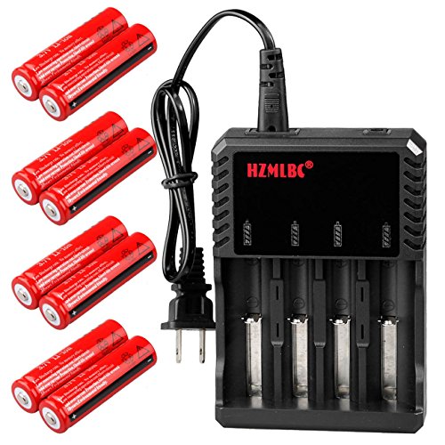 Garberiel 8 Pack Lithium Rechargeable 18650 Battery 3000 mAh 3.7V Button Top Battery with 4 Slot Charger
