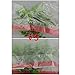 Pekky 7 Gallon Drawstring Trash Bags, Clear, Heavy Duty, 120 Counts