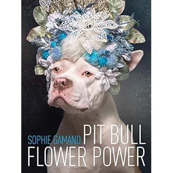 Pit Bull Flower Power