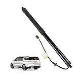 Seaforie 81780-A9100 RH Tail Gate Power Lift