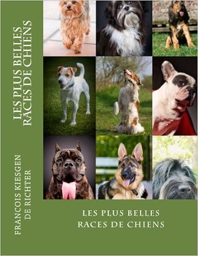 Les Plus Belles Races De Chiens Les Chiens De Race Volume