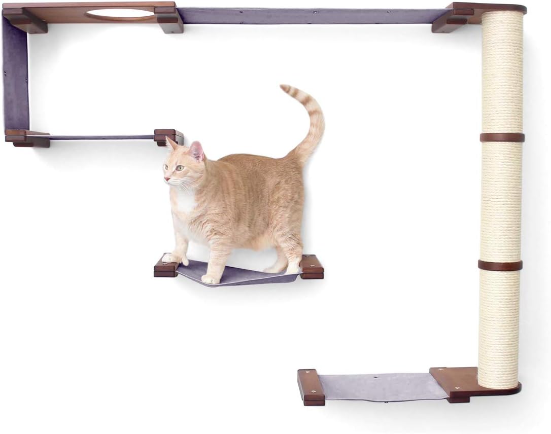CatastrophiCreations Climb Set for Cats Multiple-Level Wall Mounted Scratch, Hammock Lounge, Play & Climbing Activity Center Furniture Cat Tree Shelves, English Chestnut/Charcoal Gray, One Size