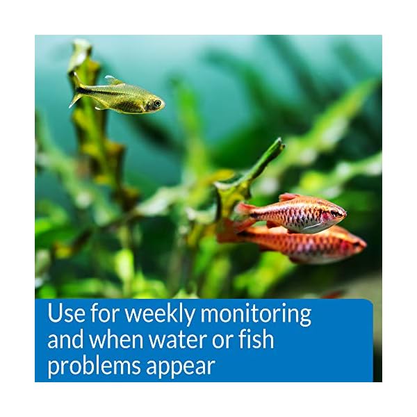 API-800-Test-Freshwater-Aquarium-Water-Master-Test-Kit API 800 Test Freshwater Aquarium Water Master Test Kit