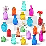 20pcs Glass Bud Vases Set,Colored Flower Vases in