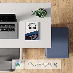 FLEXISPOT EN1 One-Piece Adjustable Height Desk 40 x