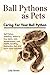 Ball Pythons as Pets: Ball Python breeding, where to buy, types, care, temperament, cost, health, handling, husbandry, diet, and much more included! Caring For Your Ball Python by 