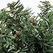 Northlight Mini Pine Artificial Christmas Wreath - 5-Inch, Unlit