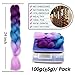 6 Pcs Ombre Braiding Hair Purple To Blue To Pink Ombre Braiding Hair Synthetic Hair Crochet Braids 100g Fiber 24inch Jumbo Braids Hair Extensions (Purple to Blue to Pink#C26)