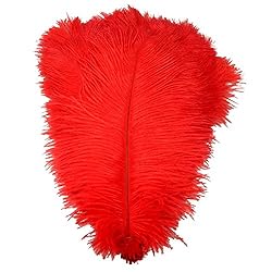 Sowder 10pcs Ostrich Feathers