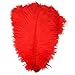 Sowder 10pcs Ostrich Feathers 12-14inch(30-35cm) for Home Wedding Decoration(red)