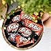 Chocolate Candy Variety Pack (Milk and Dark Chocolate), 18 Count Gift