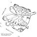 fashion 925 sterling silver jewelry pretty butterfly zircon hollow chic ring size 8