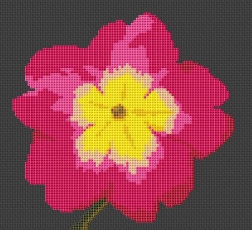 Primula Flower Cross Stitch Kit