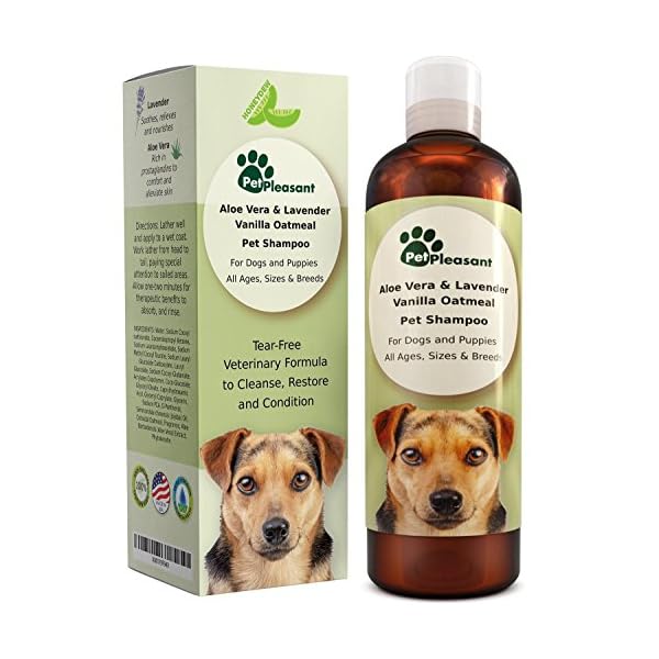 aloe oatmeal dog shampoo