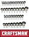 Craftsman Laser Etched Easy Read 43 Piece SAE Standard & Metric MM 1/2