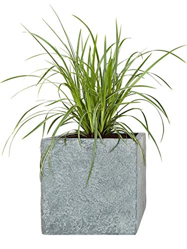Pflanzwerk® Pflanzkübel Vista Lava Hellgrau 69x68x29cm Blumentopf *Frostbeständige Blumenkübel* *UV-Schutz* *Premium… – Bild 3