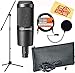 Audio-Technica AT2035 Cardioid Condenser Microphone Bundle with Boom Stand, Pop Filter, XLR Cable, and Austin Bazaar Polishing Cloth
