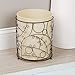 iDesign Twigz Metal Wire and Plastic Wastebasket Trash Can Garbage Can for Bathroom, Bedroom, Home Office, Kitchen, Patio, Dorm, College, Vanilla Tan and Bronze