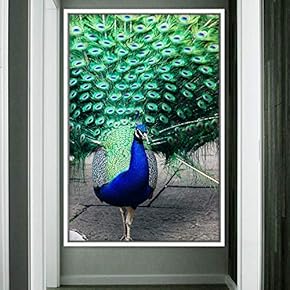 signwin Framed Canvas Wall Art Single Bird Birds...