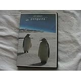 All About Penguins