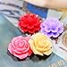 Fityle 50 Pieces Assorted Colors Size Resin Rose Flower Flatback Cabochons Embellishments