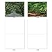 The Best Card Company - Box of 10 All Occasion Cards Blank (4 x 5.12 Inch) - Scenic Landscape Cards Assorted - Nature Trails M6467OCB