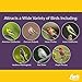 Lyric Finch - Small Songbird Wild Bird Seed - Attracts Goldfinches, House Finches, Purple Finches & More - 20 lb. bag