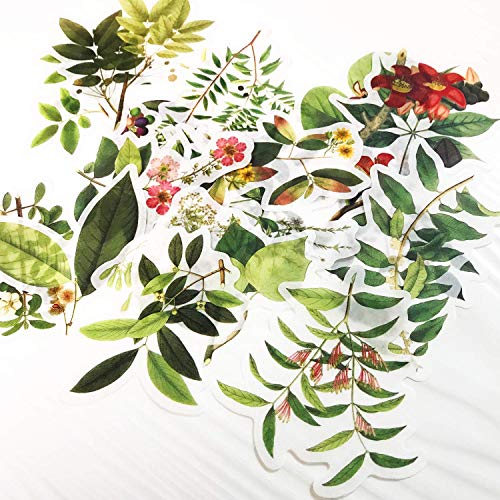 60pcs Laptop Stickers Scrapbook Stickers, Doraking DIY Decorative Green Plants Set Stickers for Laptop,Envelop,Scrapbook,Notebook,Luggage, Glasses(Plants Map) - Thumbnail 2