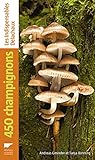 450 champignons by 