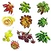 CEWOR 10pcs Mini Artificial Succulents Different Kinds for Plants Wall Decoration DIY Materials