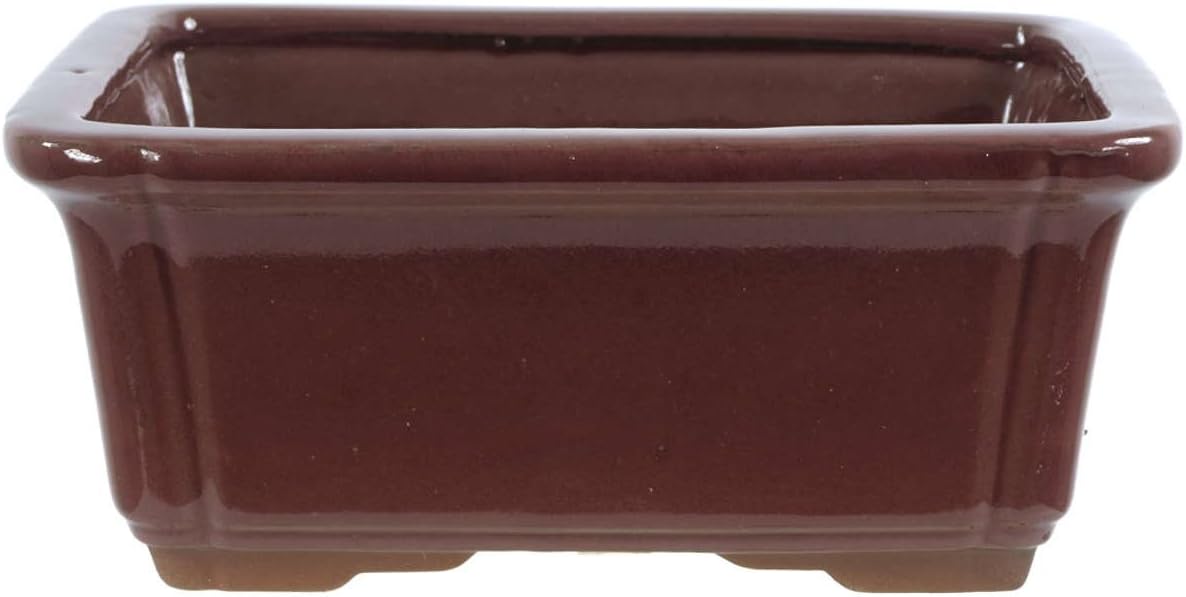 Bonsai - Maceta rectangular de rubí (21 x 16, 5 x 9 cm): Amazon.es ...