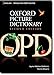 Oxford Picture Dictionary English-Brazilian Portuguese: Bilingual Dictionary for Brazilian Portuguese speaking teenage and adult students of English