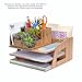 MobileVision Bamboo Paper Tray Office Organizer for Files, Documents, Letter Sorter, Envelopes and Magazine Holder (File & Paper Organizer)