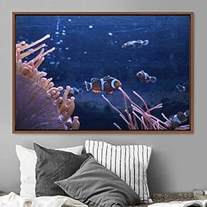 signwin Framed Canvas Wall Art Clownfish Colorful Fish...