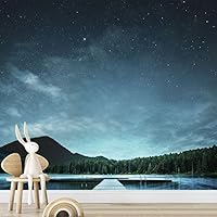 Wall Mural Stars and Moon in Night Sky Removable Self-Adhesive Wallpaper Wall Decoration for Bedroom Living Room - 66x96 inches