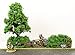 War World Gaming Battle Bocage Kit 2-28mm Heroic Scale Wargaming Terrain Model Diorama Scenery Wargame WW2 Tabletop Battle Normandy France WWII Hedgerow